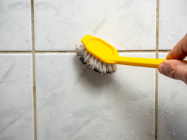 Best Attic Mold Removal  in Dauphin Island, AL