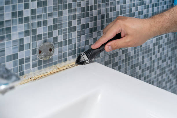 Certified Mold Removal in Dauphin Island, AL