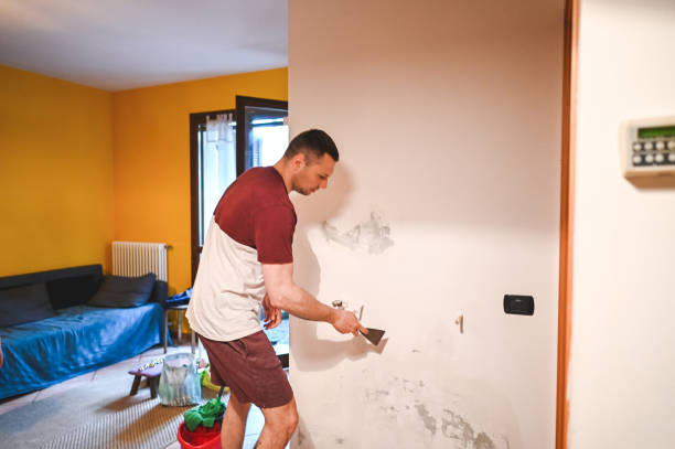 Best Mold Removal Process  in Dauphin Island, AL